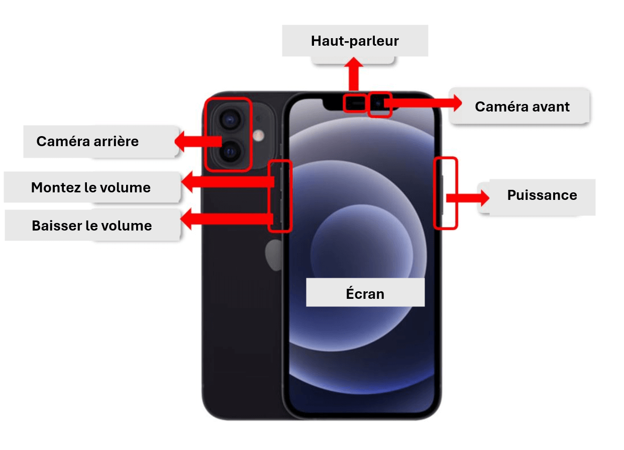 iPhone avec boutons de volume, bouton d'alimentation, écran, haut-parleurs et caméras mis en évidence pour montrer l'appareil physique 
