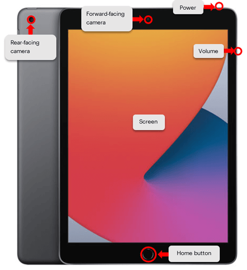 iPad with cameras, power, volume, screen and home button highlighted