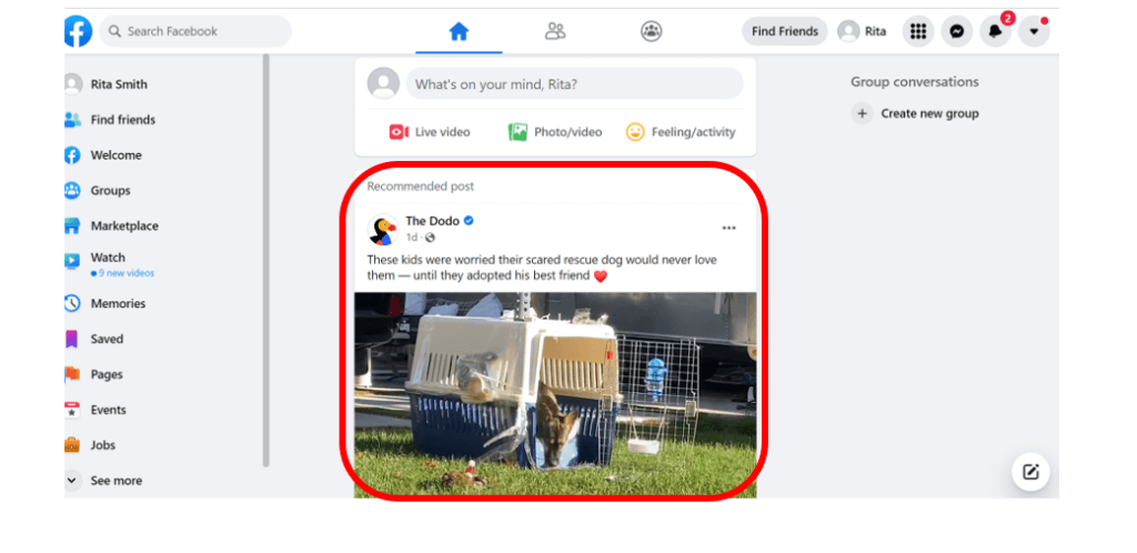 Facebook newsfeed screen to show what it looks like when you start to follow different pages