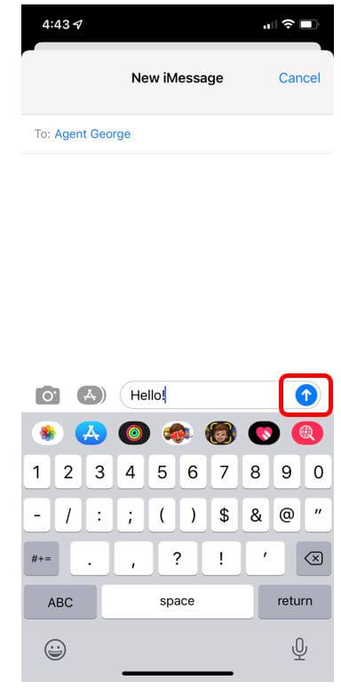 iMessage that says "Hello!" to Agent George with blue circle with white arrow in the center to show how to send a message