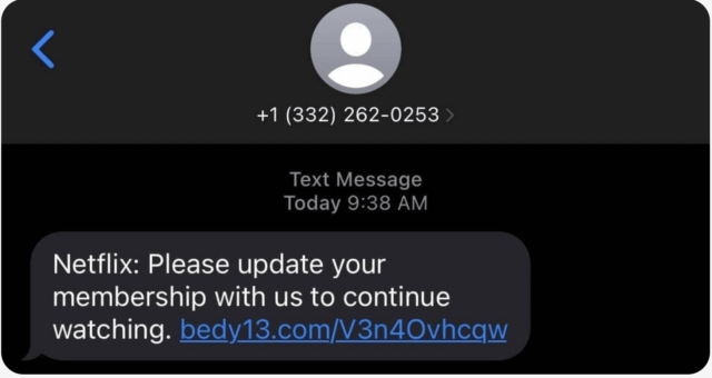 Smishing message that says Netflix: Please update your membership with us to continue watching.