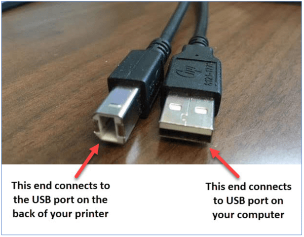 USB Cable highlighted end that plugs into printer and end that plugs into computer
